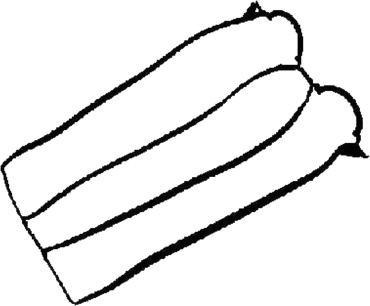REINZ прокладка 713384600