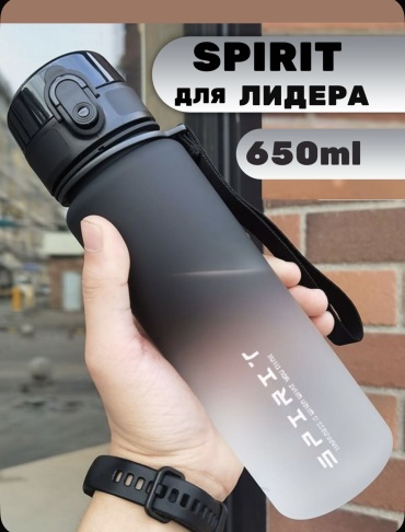 Бутылка Spirit Fitness 89067976 650 мл черный