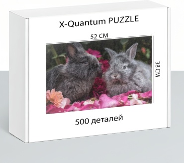 X-Quantum puzzle_8iz1tz4gxq классический 500 деталей