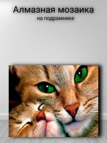 282005732 34x44 см