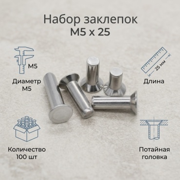 30235683_666069541 набор заклепок потайная 25хM5, 100 шт
