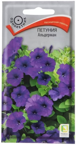 Поиск петуния АЛЬДЕРМАН