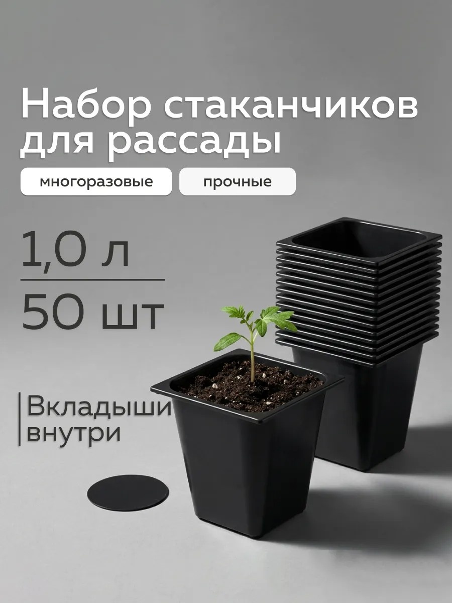360596519