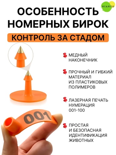 Фото 3