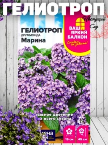 Гелиотроп Марина