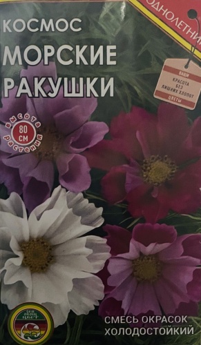 Мир семян космея Космос морские ракушки