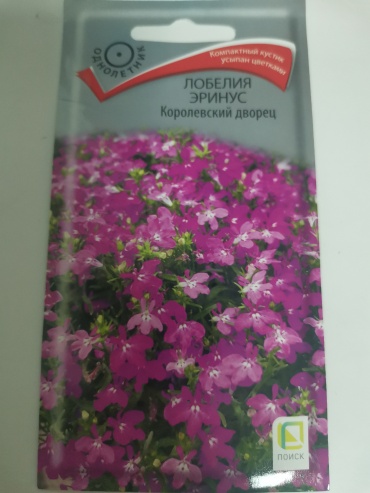 Поиск лобелия Королевский дворец