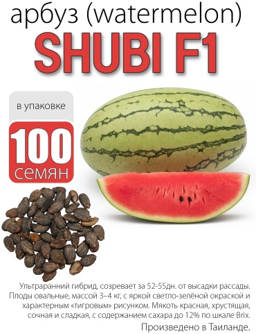 LION арбуз Shubi F1