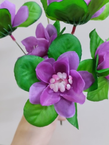 Фото 2