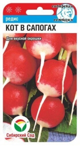 Сибирский сад редис Кот в сапогах