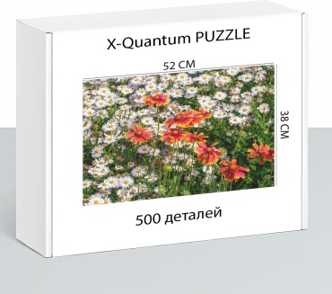X-Quantum puzzle_w49453obt4 классический 500 деталей