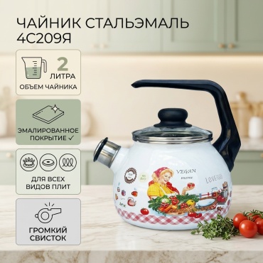СтальЭмаль чайник 4с209я 2 л, эмаль