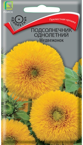 Поиск подсолнечник Медвежонок
