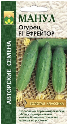 Манул огурец F1 Ефрейтор