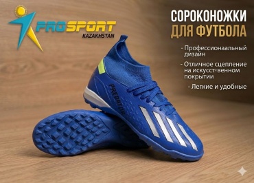 Сороконожки синий