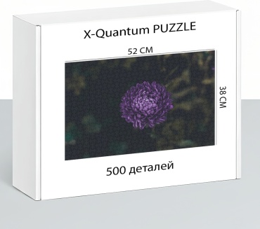X-Quantum puzzle_ncd3ran762 классический 500 деталей