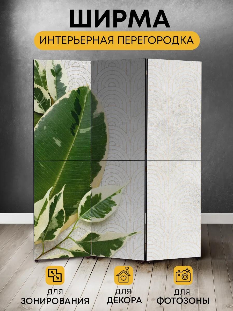 Ширма 10 секций Ширма 150x170 см, дерево