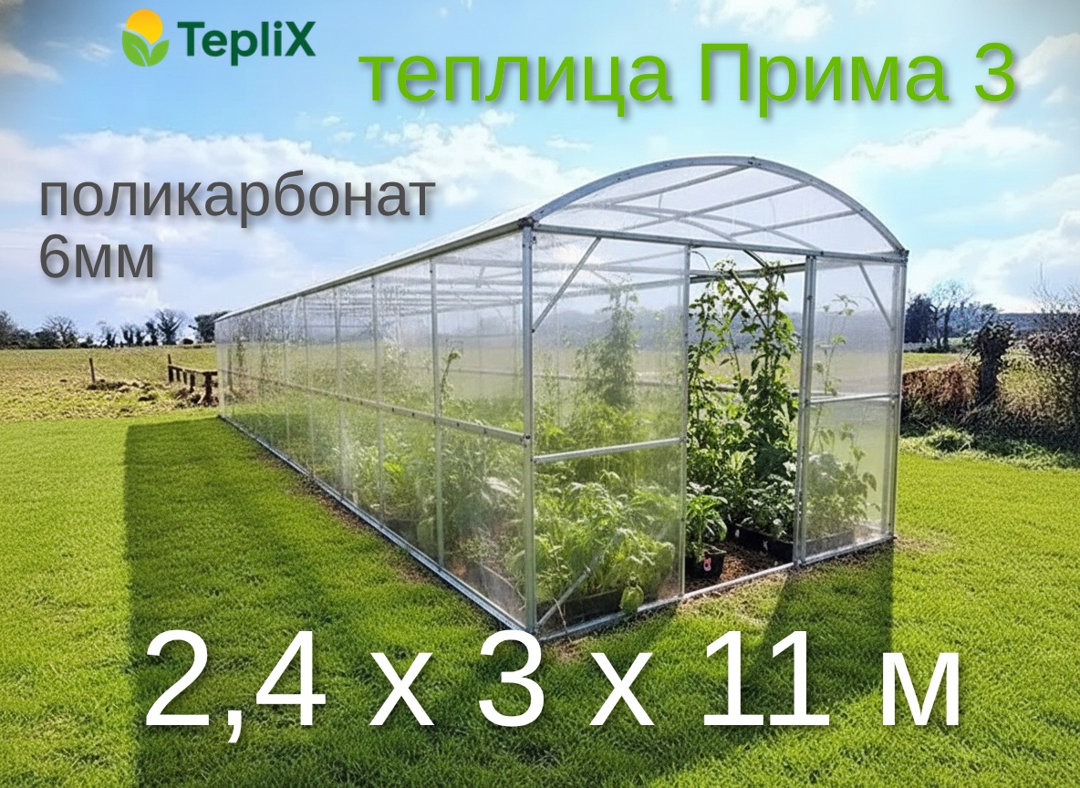 Теплица TepliX Прима 3 (3х11м), 6мм 240x300x1100 см, поликарбонат