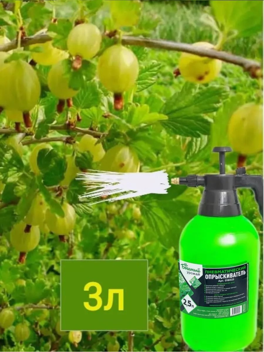 Опрыскиватель ЛАЗУРИТ механический 156461620