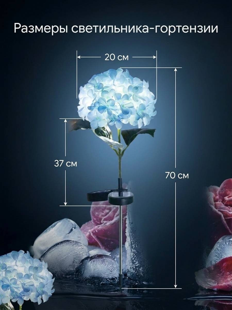 Фото 2