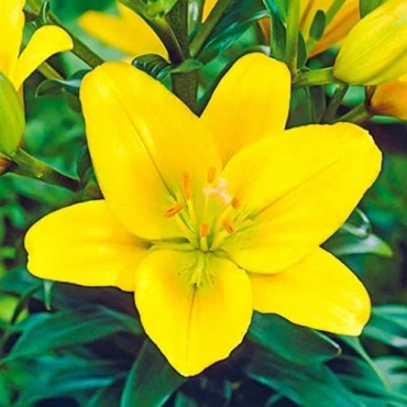 Фото 2