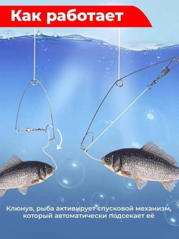 Фото 2