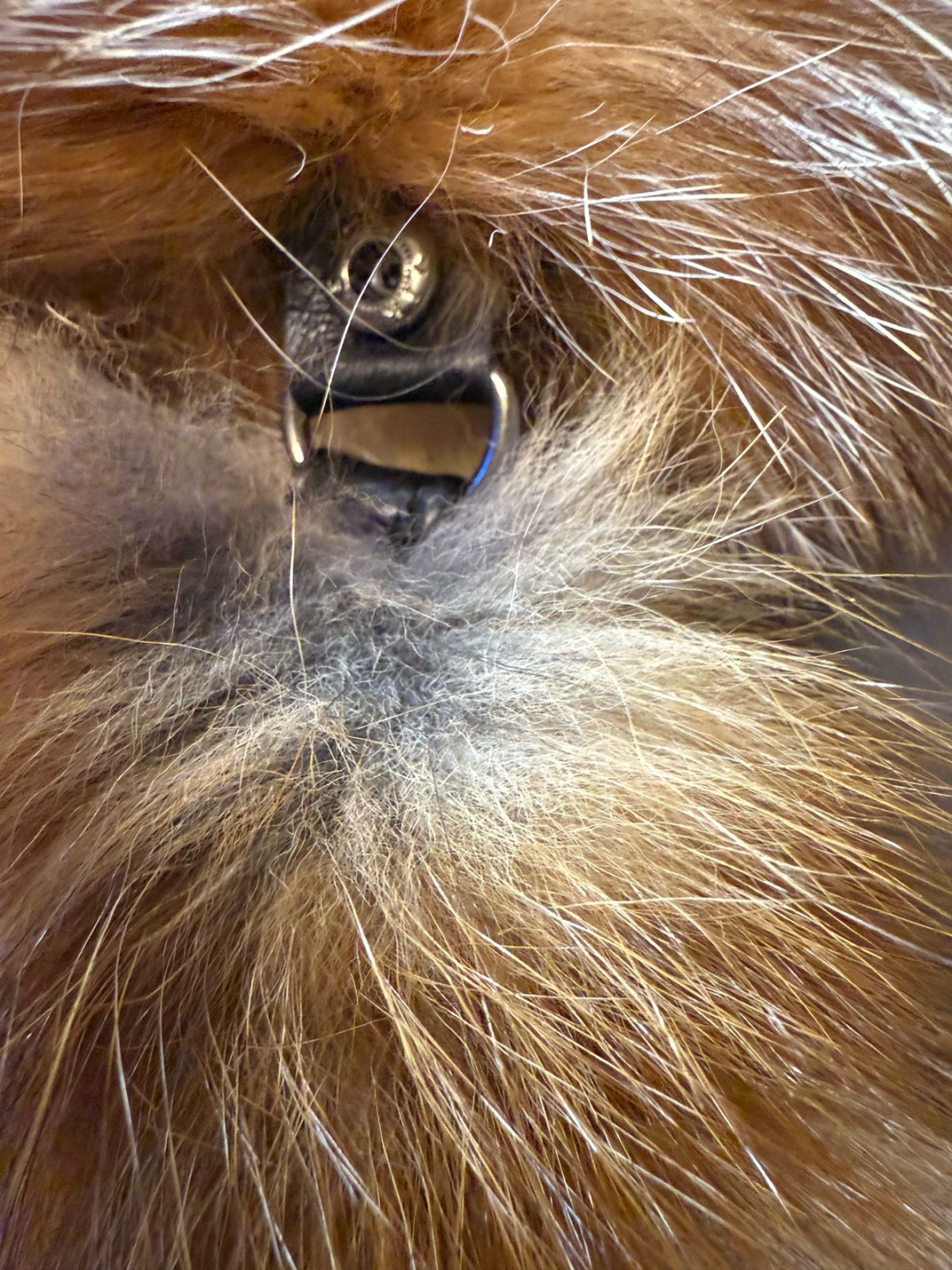 Фото 10