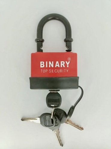 Замок навесной, английский BINARY rk, 110х80 мм