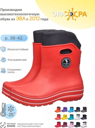 Сапоги ЭРА РА 18136069 36