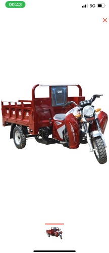1TOY Toy 16 дюйм 2023 16 дюймов зеленый