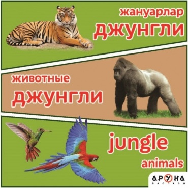 Жануарлар. Животные. Джунгли