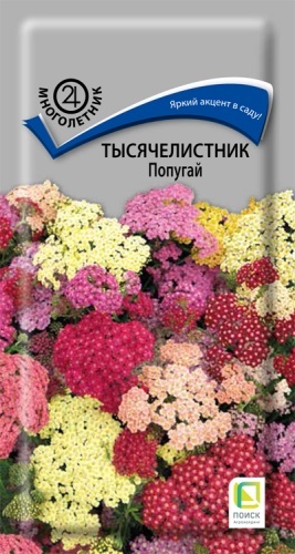 Поиск тысячелистник Попугай