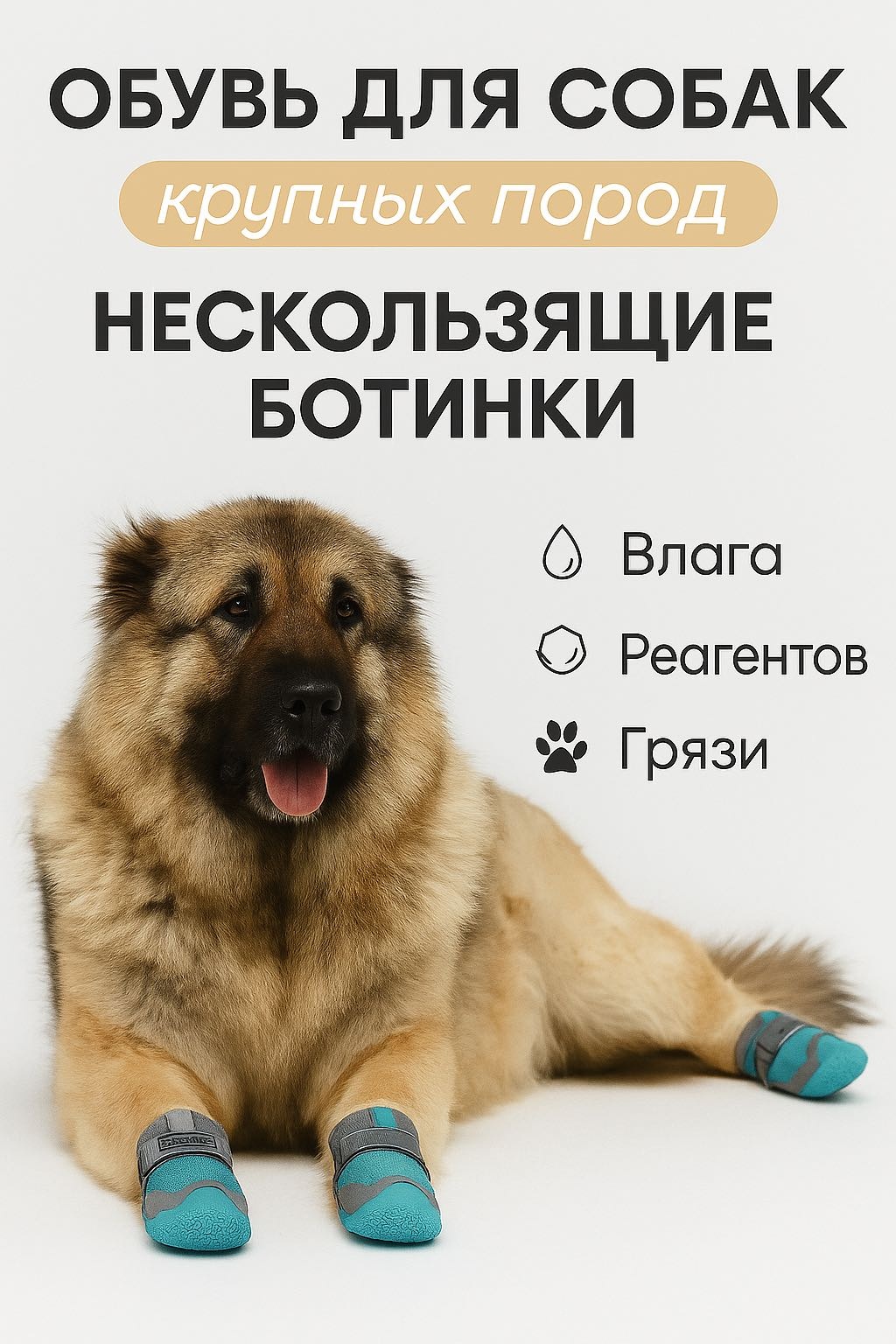 MyFriends ботинки SHE2290 синий XL