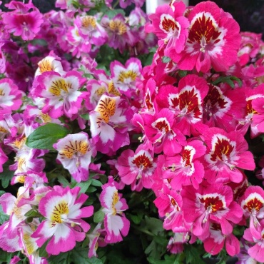 Фото 2