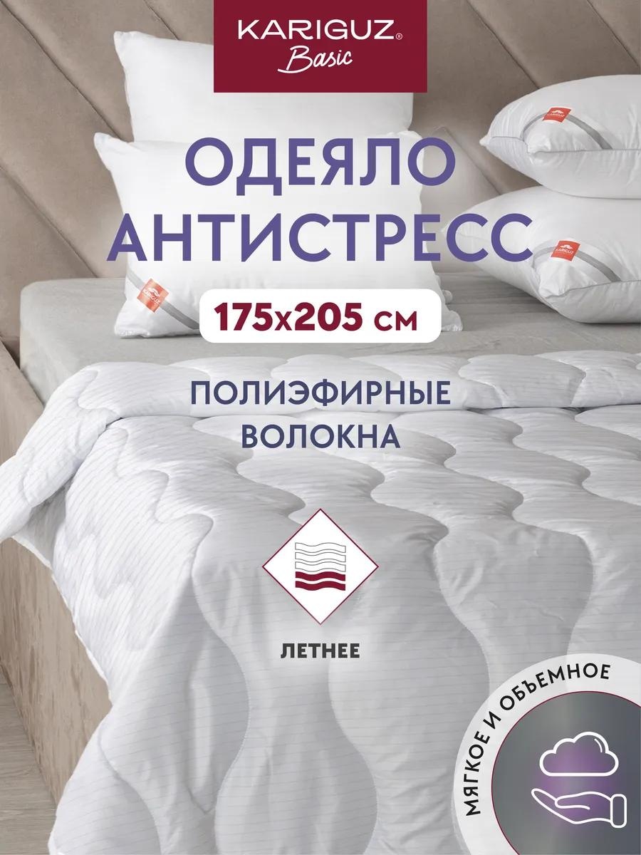 Одеяло БЛАк21-4-2 173566515 172х205 всесезонное