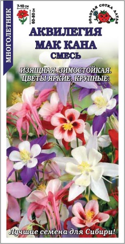 Золотая сотка Алтая аквилегия Аквилегия Мак Кана смесь