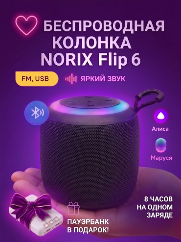 Портативная колонка NORIX Flip 6 черный