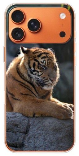 Чехол BAIKO для Apple iPhone 17 Pro Max рисунок