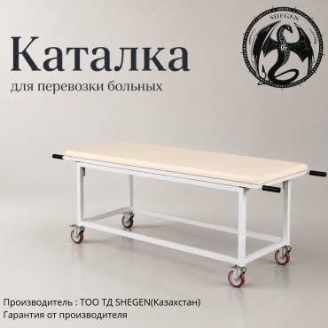 SHEGEN кушетка медицинская 30407281_Pr001124747