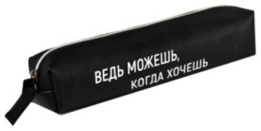 Пенал Феникс плюс "Ведь можешь, Когда хочешь", застежка молния, черный