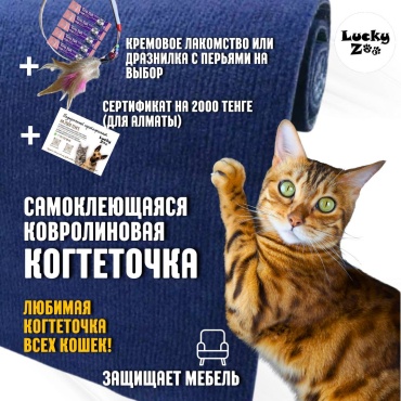 Самоклеящаяся ковролиновая когтеточка LuckyZoo тёмно-синяя