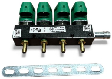 Rail газовая форсунка 110R-004304
