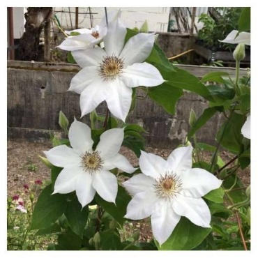 Фото 3