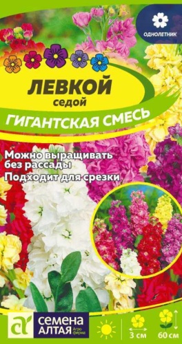Семена Алтая левкой Гигантская