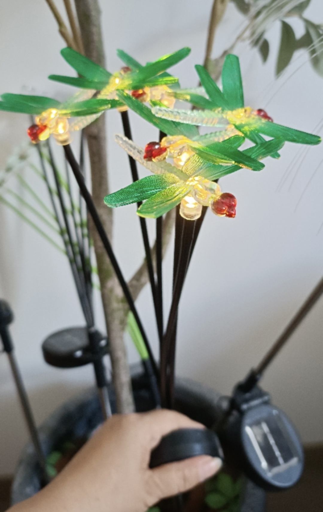Фото 3