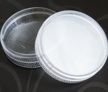 Емкость для косметических средств пластик 15 мл 3 шт