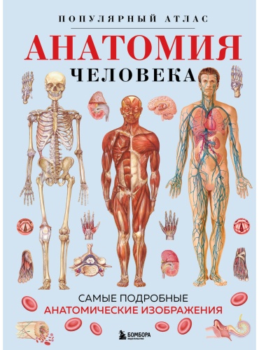 Без автора: Анатомия человека. Популярный атлас. Самые подробные анатомические изображения