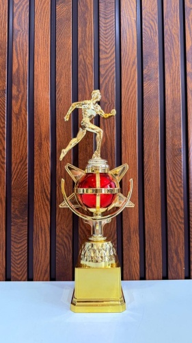 Golden Cup кубок Бег Марафон
