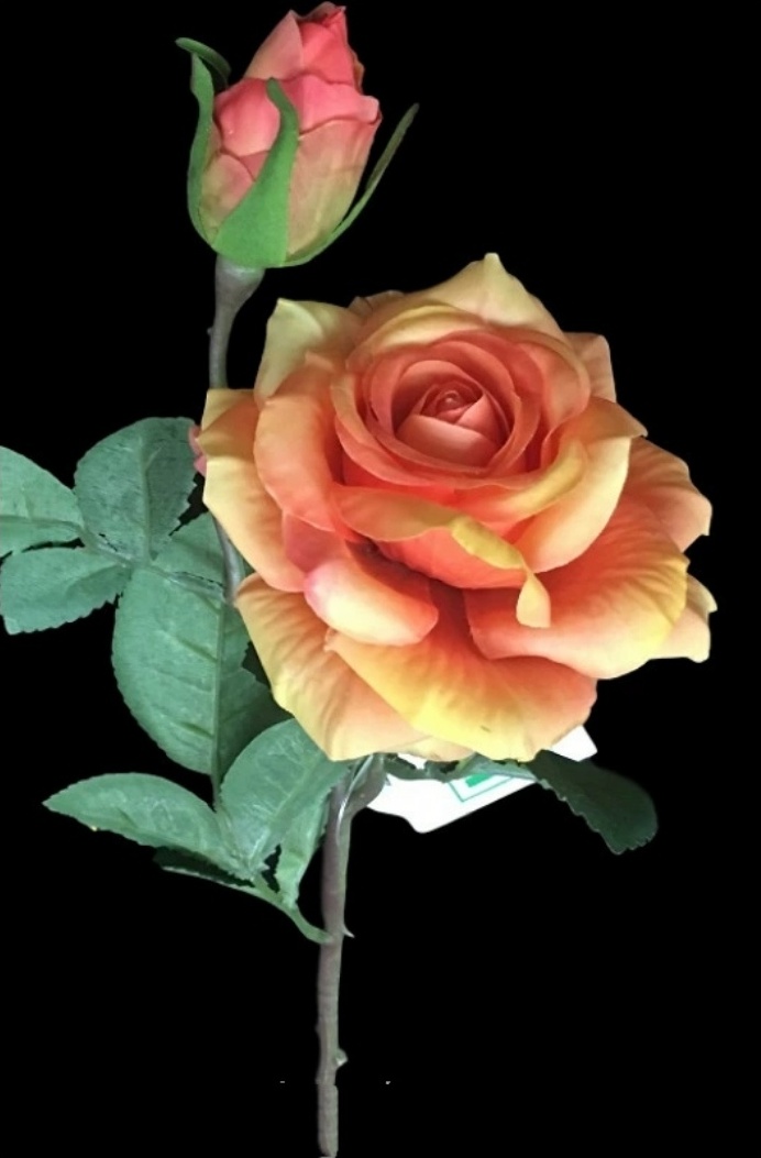 Фото 2