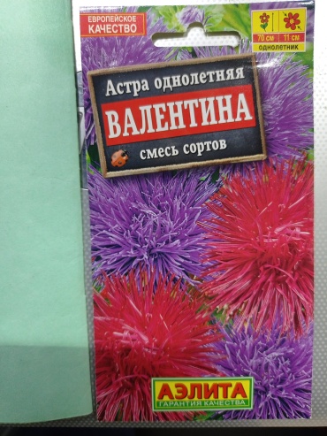 Аэлита астра Валентина смесь сортов
